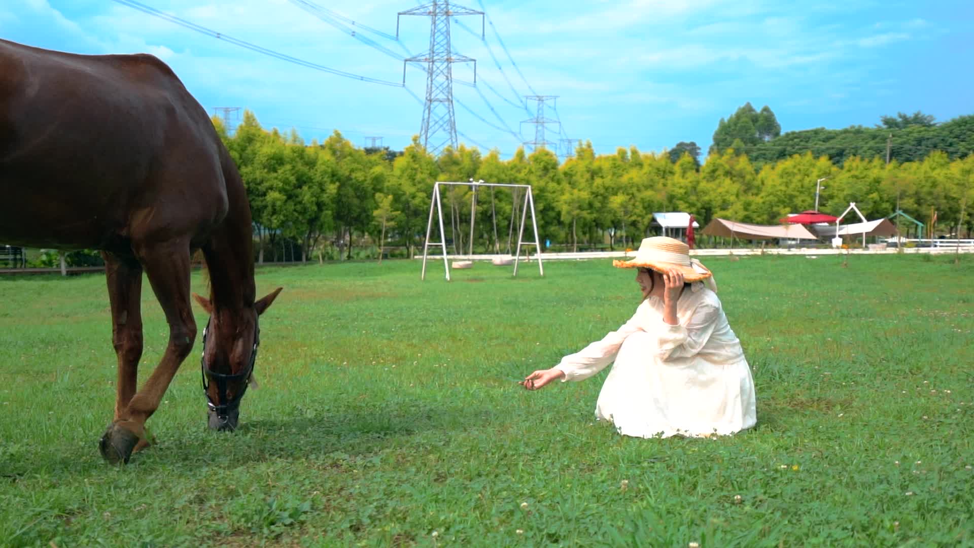女孩在马场草地上和马儿合拍视频素材