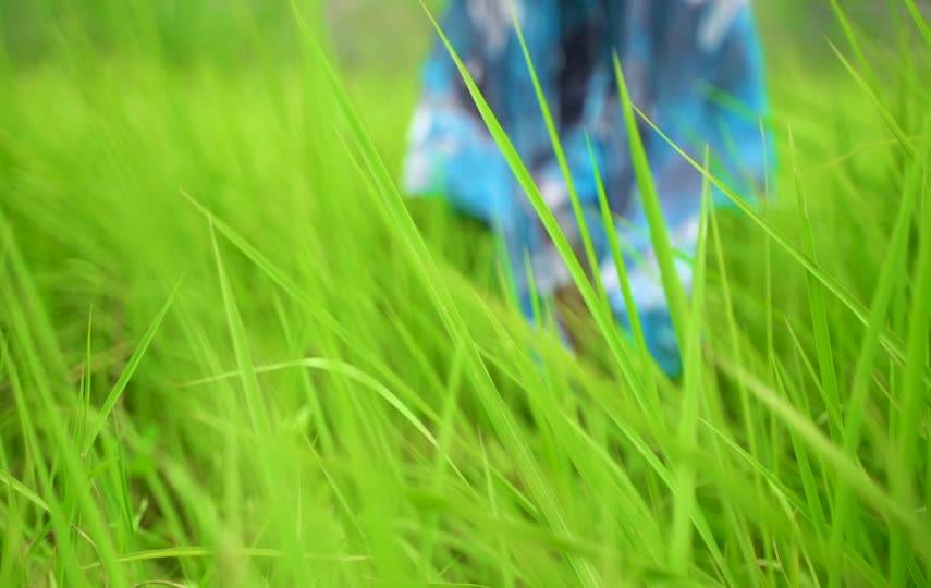 一个人行走在草地伤感视频素材