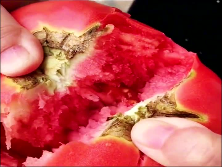 70后80后90后年代怀旧视频素材（六十四）