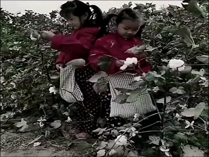 70后80后90后年代怀旧视频素材（七十五）