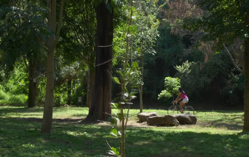 森林里汽车的小姐姐励志情感视频素材