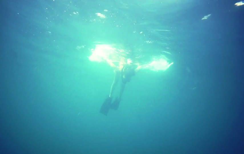 潜水特写镜头视频素材