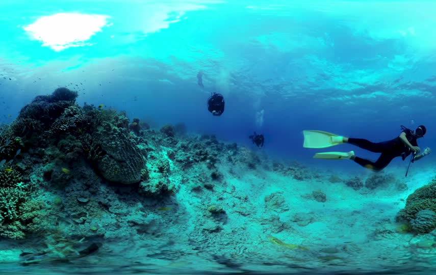 潜水员海底特写视频素材
